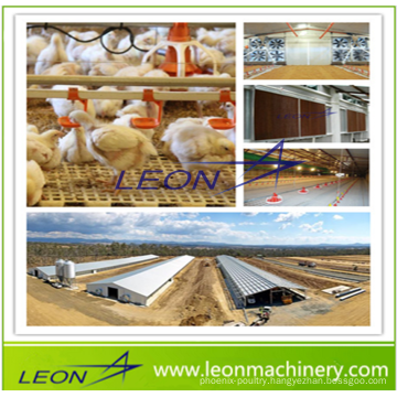 LEON 2017 Hot Sale Wholely Automatic Poultry chicken Farming Equipments for Chicken House